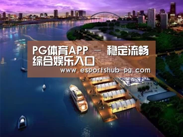 案例展示八