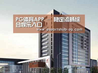 案例展示七