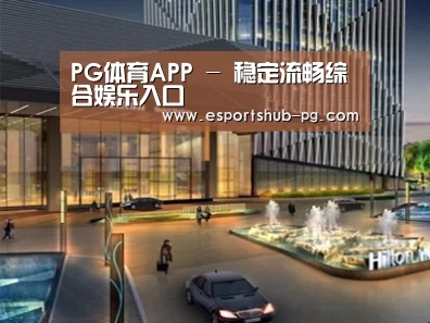 案例展示二