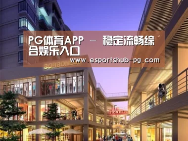 案例展示一