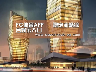 案例展示三