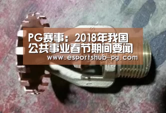 PG赛事：2018年我国公共事业春节期间要闻汇总回顾
