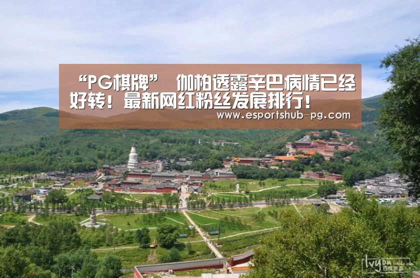 “PG棋牌”
伽柏透露辛巴病情已经好转!最新网红粉丝发展排行!(图4) PG棋牌