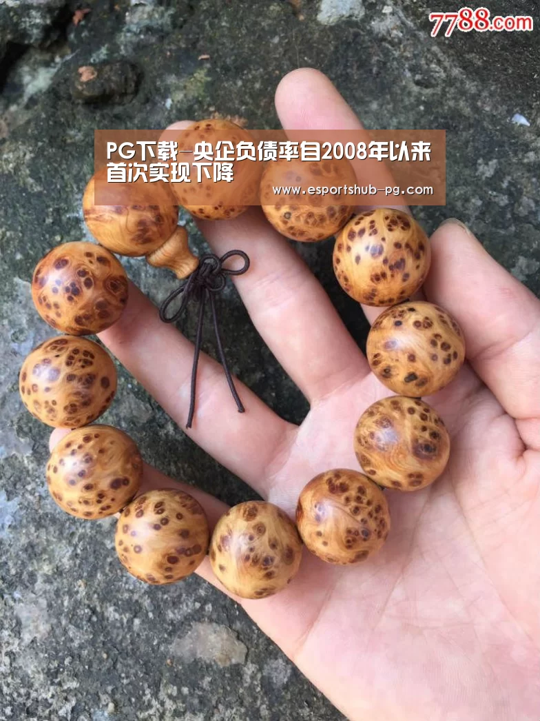 PG下载-央企负债率自2008年以来首次实现下降(图2) PG棋牌