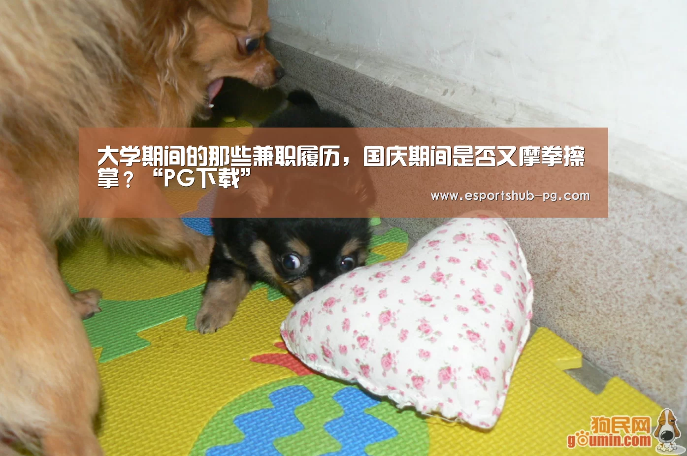 大学期间的那些兼职履历,国庆期间是否又摩拳擦掌?“PG下载”(图2) PG游艺